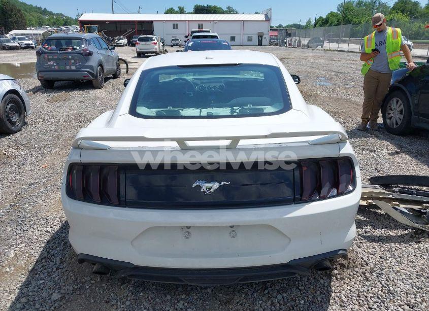 Photo 17 of 2019 Ford Mustang ECOBOOST (VIN 1FA6P8TH3K5105908)