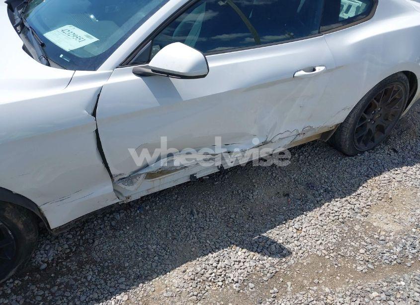 Photo 18 of 2019 Ford Mustang ECOBOOST (VIN 1FA6P8TH3K5105908)