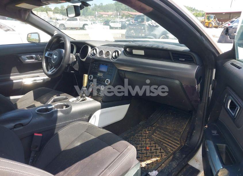 Photo 5 of 2019 Ford Mustang ECOBOOST (VIN 1FA6P8TH3K5105908)