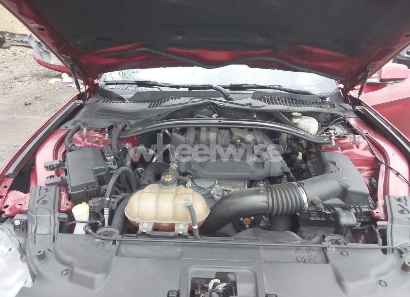 Photo 10 of 2019 Ford Mustang ECOBOOST (VIN 1FA6P8TH3K5111837)