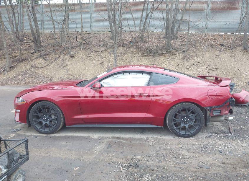 Photo 15 of 2019 Ford Mustang ECOBOOST (VIN 1FA6P8TH3K5111837)
