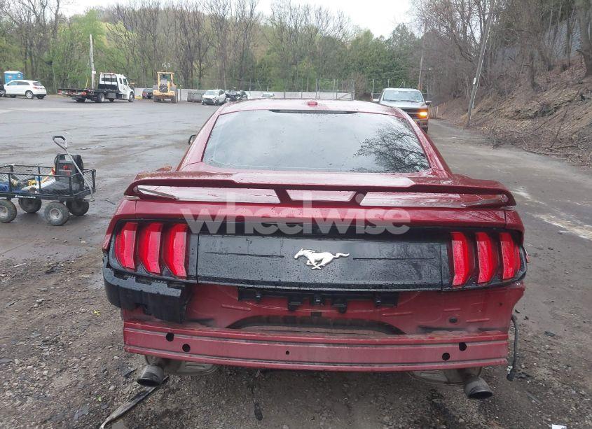 Photo 17 of 2019 Ford Mustang ECOBOOST (VIN 1FA6P8TH3K5111837)