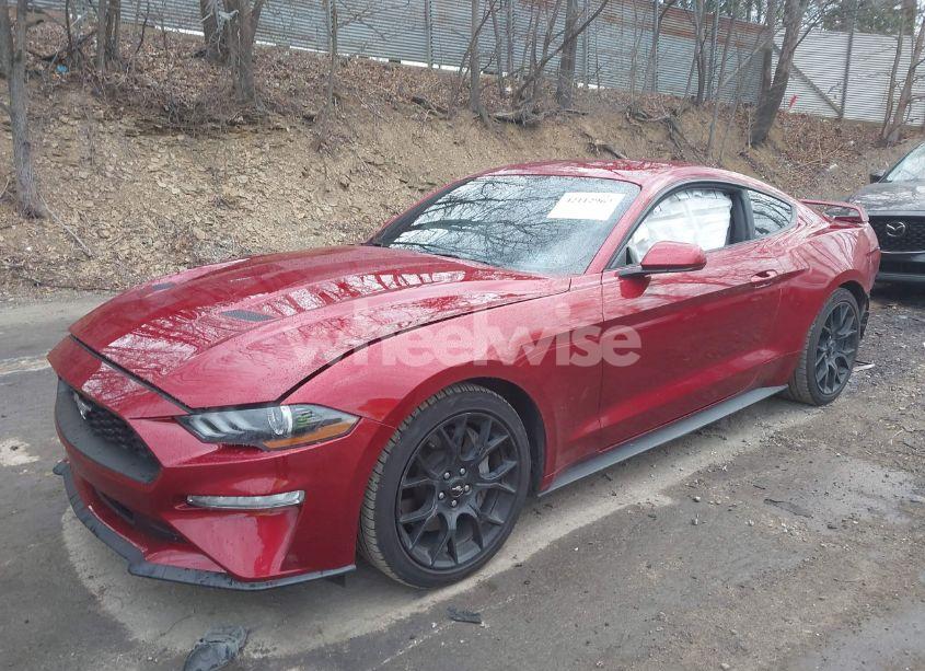 Photo 2 of 2019 Ford Mustang ECOBOOST (VIN 1FA6P8TH3K5111837)