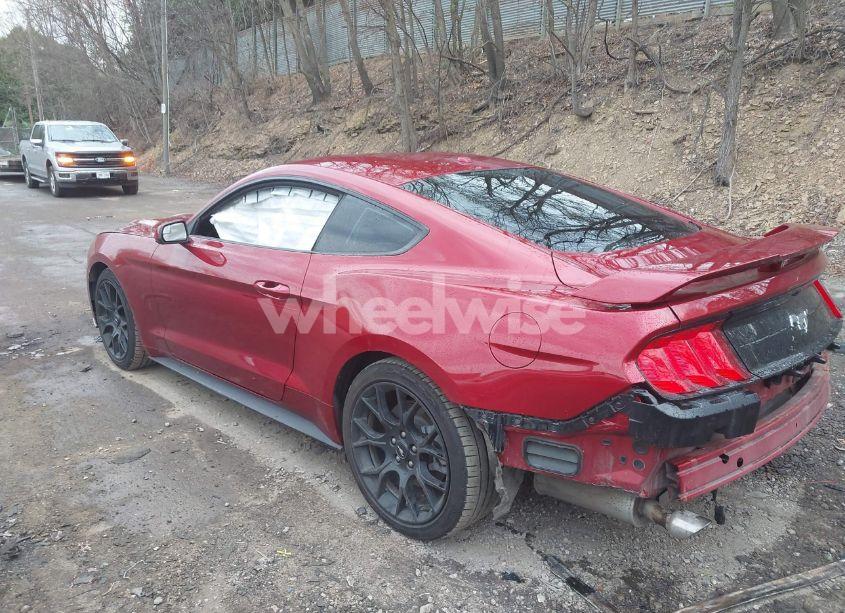 Photo 3 of 2019 Ford Mustang ECOBOOST (VIN 1FA6P8TH3K5111837)