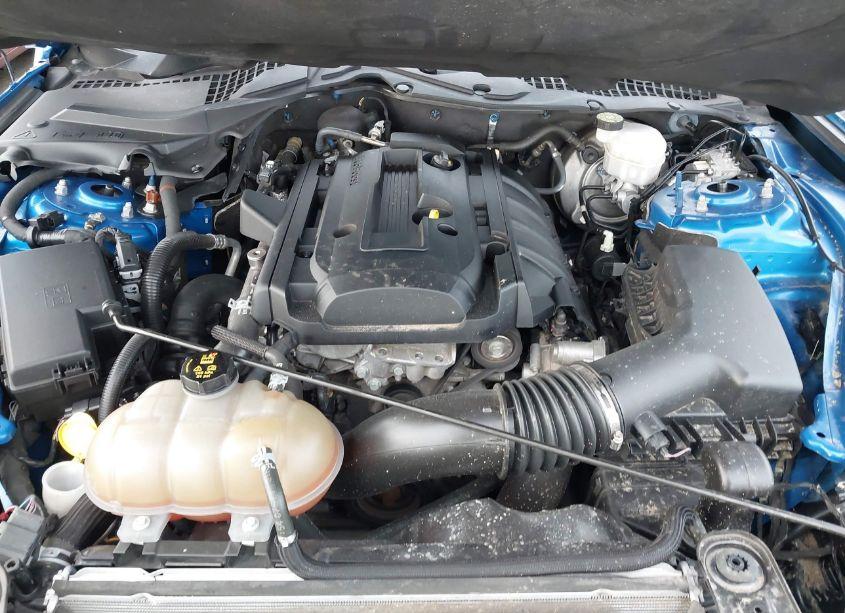 Photo 10 of 2019 Ford Mustang ECOBOOST (VIN 1FA6P8TH3K5142778)