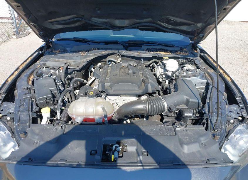 Photo 10 of 2019 Ford Mustang ECOBOOST (VIN 1FA6P8TH3K5157894)