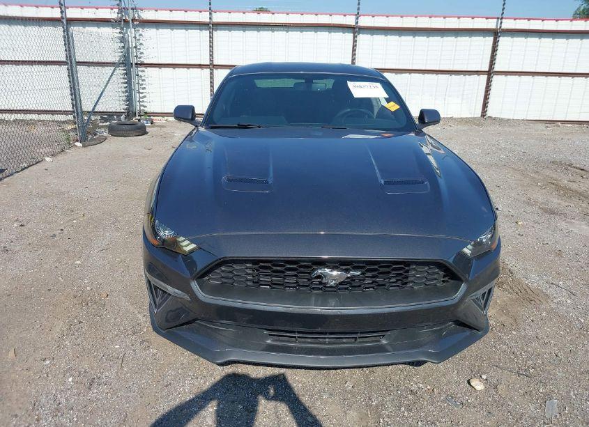 Photo 12 of 2019 Ford Mustang ECOBOOST (VIN 1FA6P8TH3K5157894)