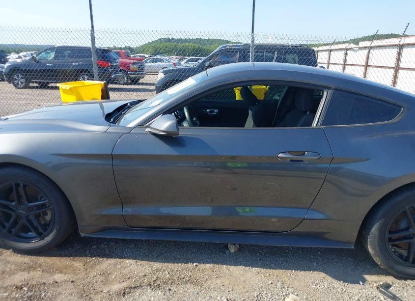 Photo 14 of 2019 Ford Mustang ECOBOOST (VIN 1FA6P8TH3K5157894)