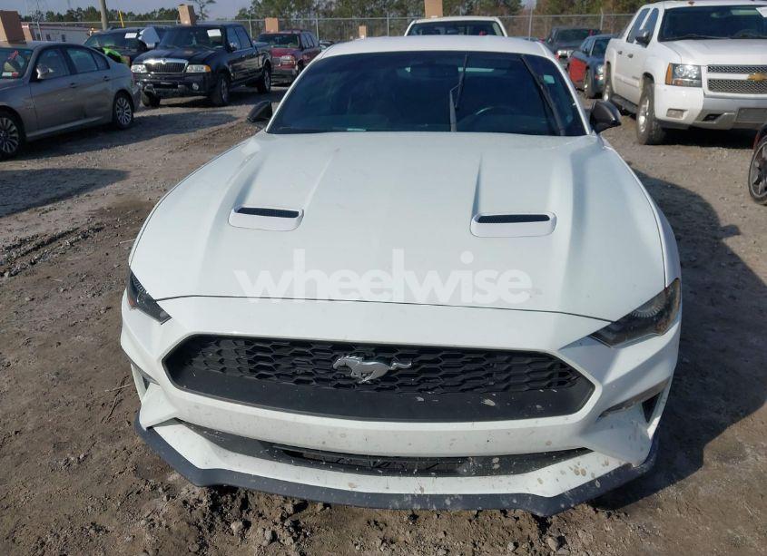 Photo 12 of 2019 Ford Mustang ECOBOOST (VIN 1FA6P8TH3K5167261)