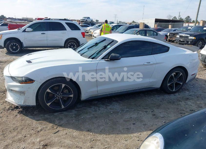 Photo 14 of 2019 Ford Mustang ECOBOOST (VIN 1FA6P8TH3K5167261)