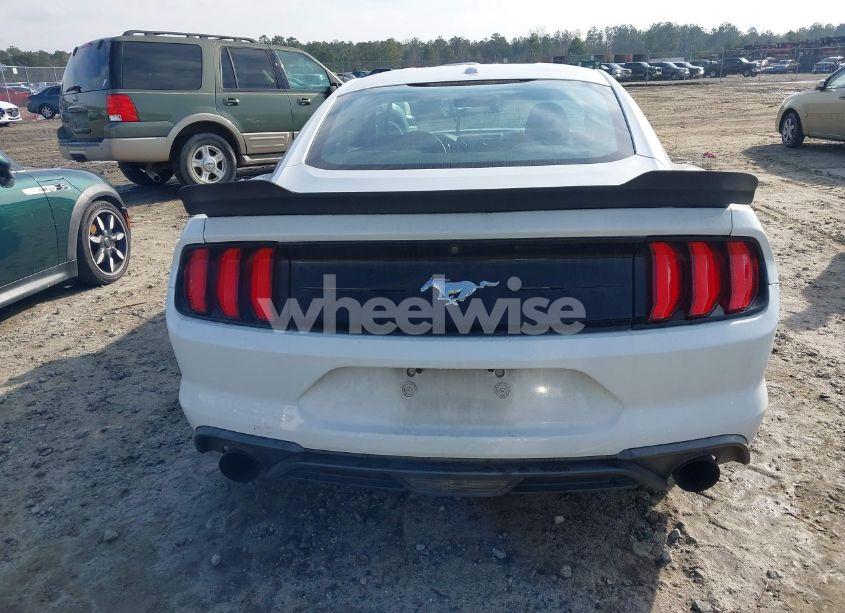 Photo 16 of 2019 Ford Mustang ECOBOOST (VIN 1FA6P8TH3K5167261)