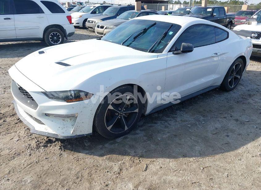 Photo 2 of 2019 Ford Mustang ECOBOOST (VIN 1FA6P8TH3K5167261)