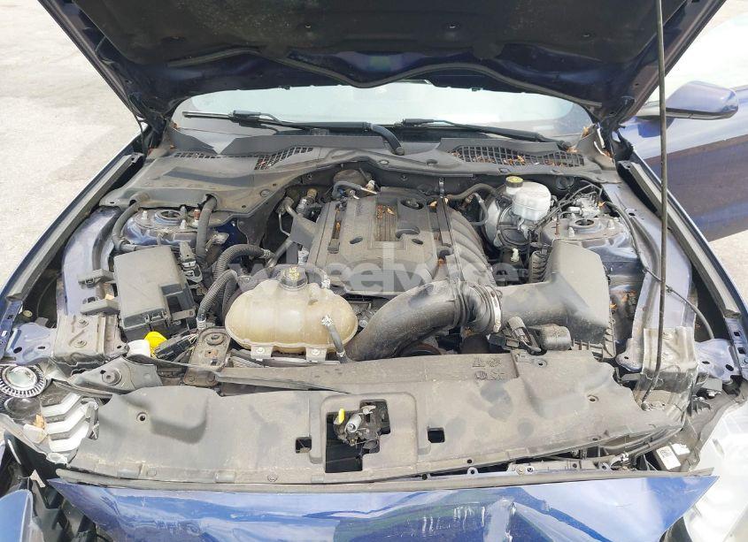 Photo 10 of 2019 Ford Mustang ECOBOOST (VIN 1FA6P8TH3K5174131)