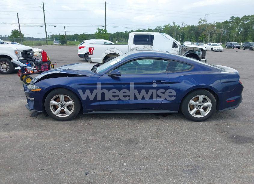 Photo 14 of 2019 Ford Mustang ECOBOOST (VIN 1FA6P8TH3K5174131)