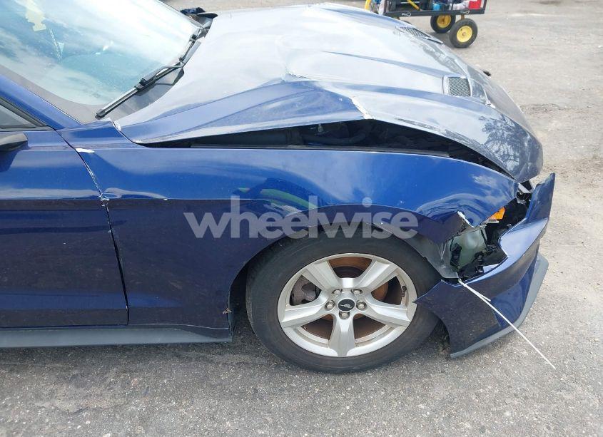 Photo 18 of 2019 Ford Mustang ECOBOOST (VIN 1FA6P8TH3K5174131)