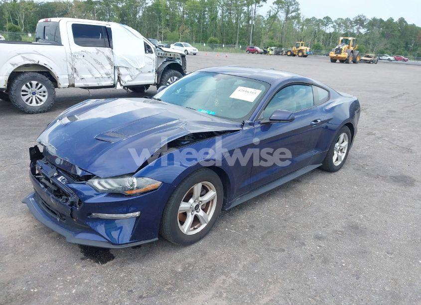 Photo 2 of 2019 Ford Mustang ECOBOOST (VIN 1FA6P8TH3K5174131)