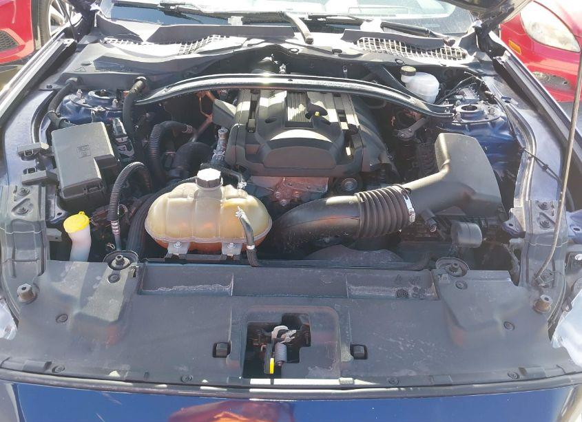 Photo 10 of 2019 Ford Mustang ECOBOOST (VIN 1FA6P8TH3K5182570)