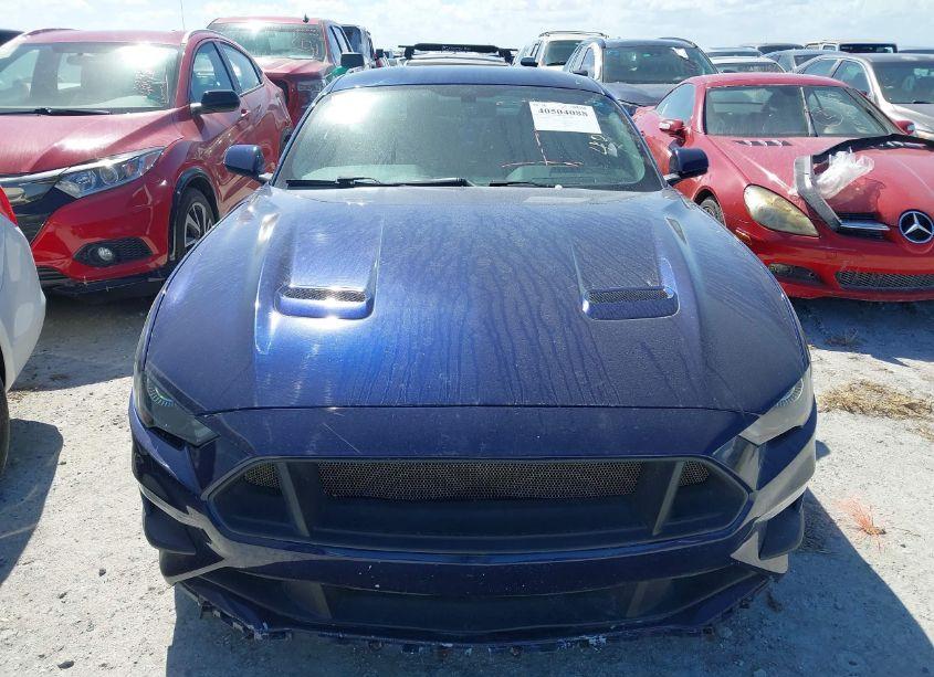 Photo 13 of 2019 Ford Mustang ECOBOOST (VIN 1FA6P8TH3K5182570)