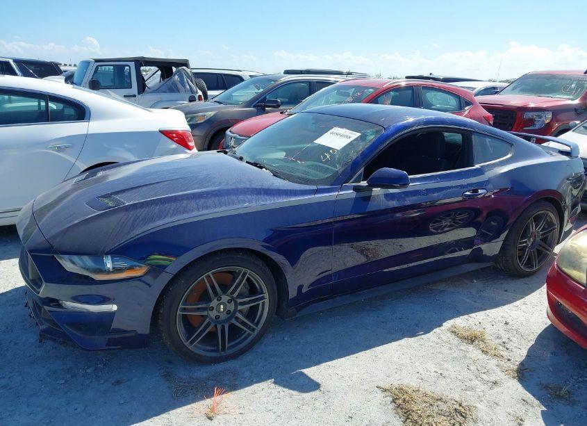 Photo 15 of 2019 Ford Mustang ECOBOOST (VIN 1FA6P8TH3K5182570)