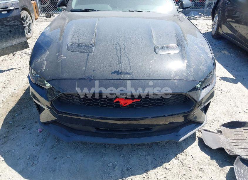 Photo 11 of 2020 Ford Mustang ECOBOOST FASTBACK (VIN 1FA6P8TH3L5190198)