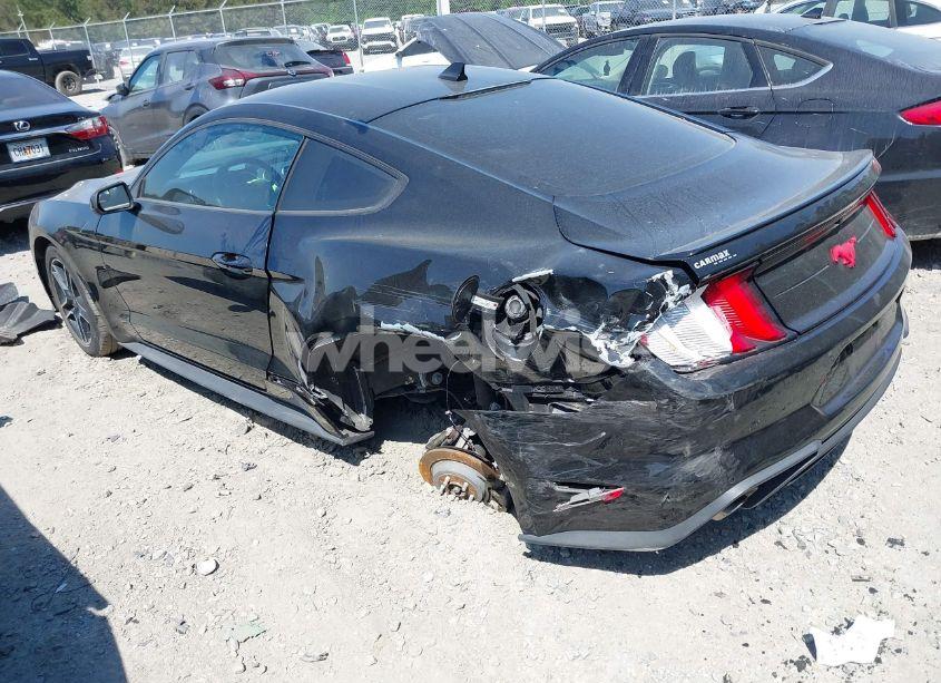 Photo 3 of 2020 Ford Mustang ECOBOOST FASTBACK (VIN 1FA6P8TH3L5190198)