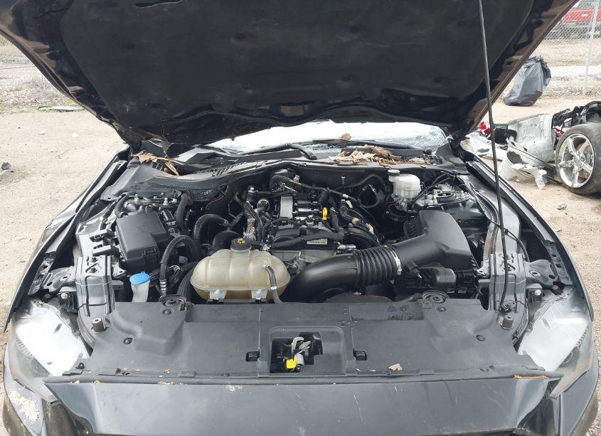 Photo 10 of 2021 Ford Mustang ECOBOOST (VIN 1FA6P8TH3M5106673)