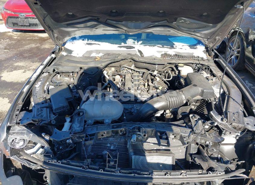 Photo 10 of 2021 Ford Mustang ECOBOOST FASTBACK (VIN 1FA6P8TH3M5151760)