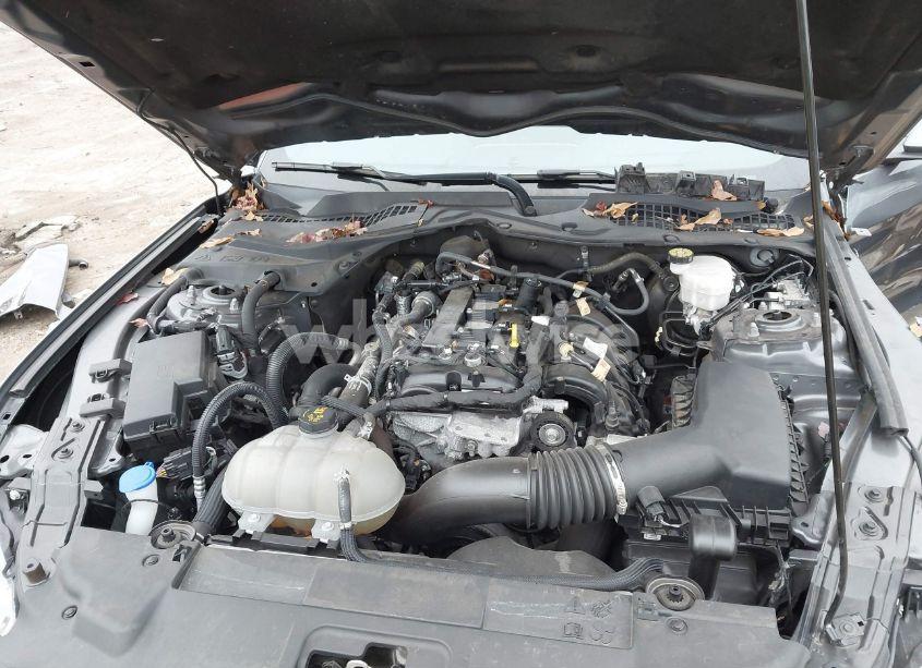 Photo 10 of 2022 Ford Mustang ECOBOOST PREMIUM FASTBACK (VIN 1FA6P8TH3N5100521)