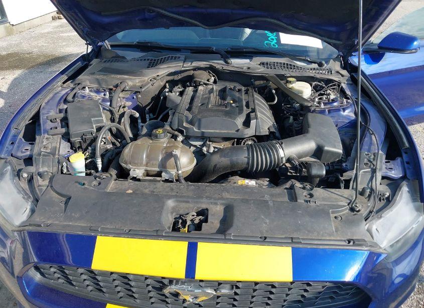 Photo 10 of 2016 Ford Mustang ECOBOOST (VIN 1FA6P8TH4G5211663)