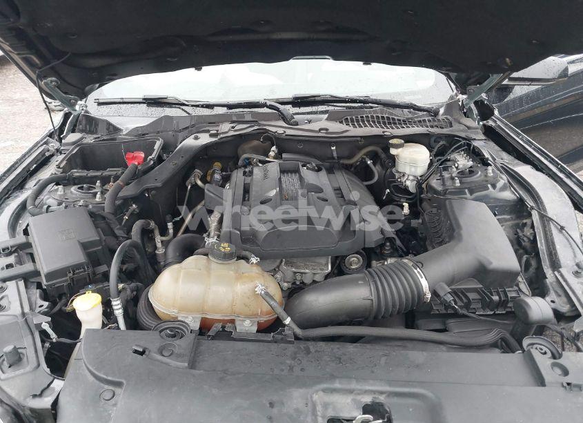 Photo 10 of 2017 Ford Mustang ECOBOOST (VIN 1FA6P8TH4H5221157)