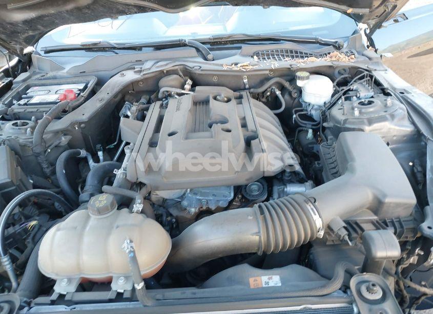 Photo 10 of 2017 Ford Mustang ECOBOOST (VIN 1FA6P8TH4H5247712)