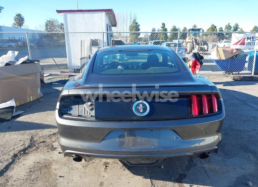 Photo 17 of 2017 Ford Mustang ECOBOOST (VIN 1FA6P8TH4H5247712)