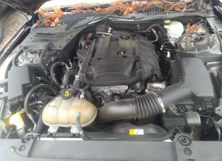 Photo 10 of 2017 Ford Mustang ECOBOOST (VIN 1FA6P8TH4H5335790)