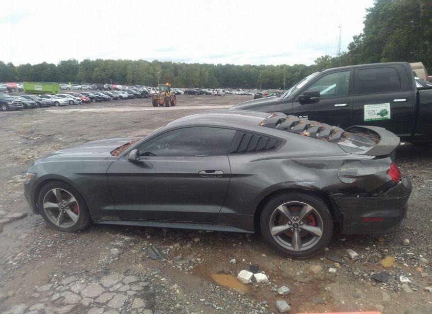 Photo 14 of 2017 Ford Mustang ECOBOOST (VIN 1FA6P8TH4H5335790)