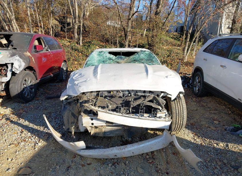 Photo 11 of 2017 Ford Mustang ECOBOOST (VIN 1FA6P8TH4H5353125)