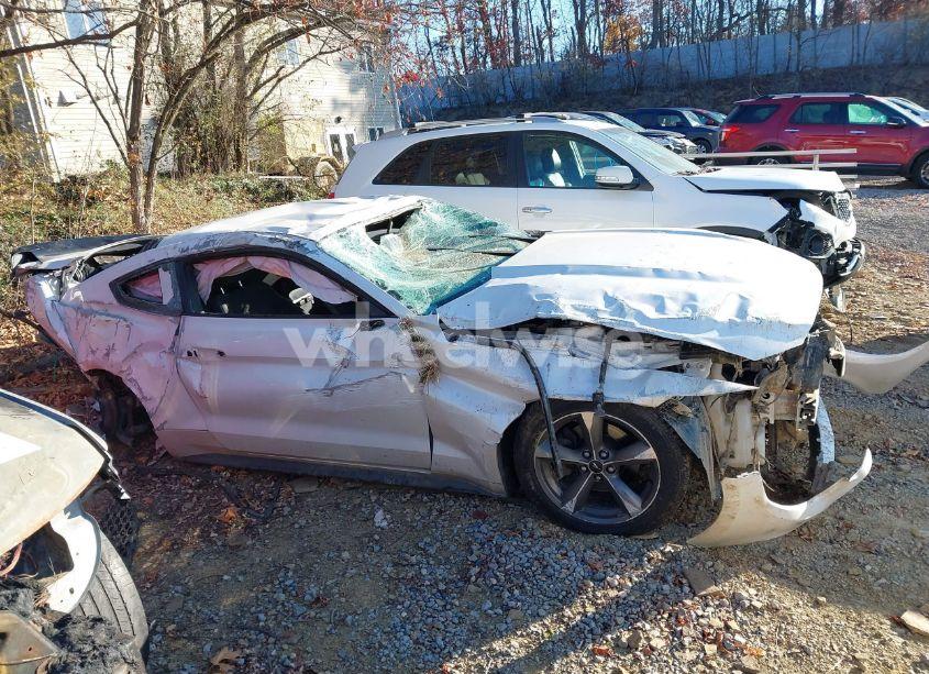 Photo 12 of 2017 Ford Mustang ECOBOOST (VIN 1FA6P8TH4H5353125)