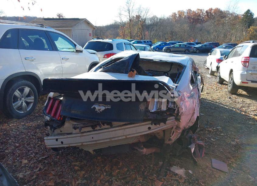 Photo 15 of 2017 Ford Mustang ECOBOOST (VIN 1FA6P8TH4H5353125)