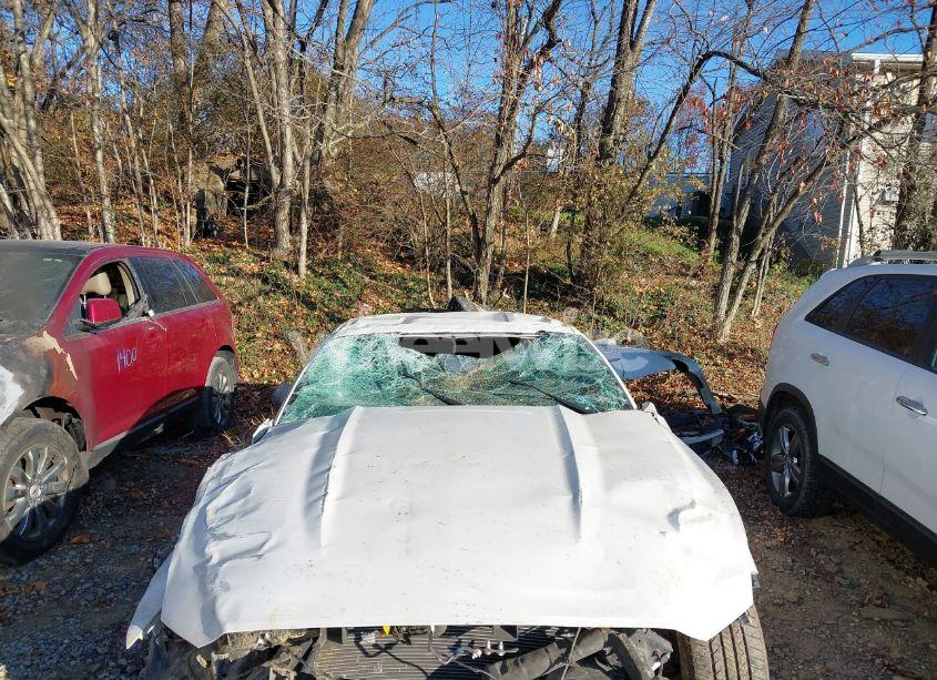 Photo 6 of 2017 Ford Mustang ECOBOOST (VIN 1FA6P8TH4H5353125)
