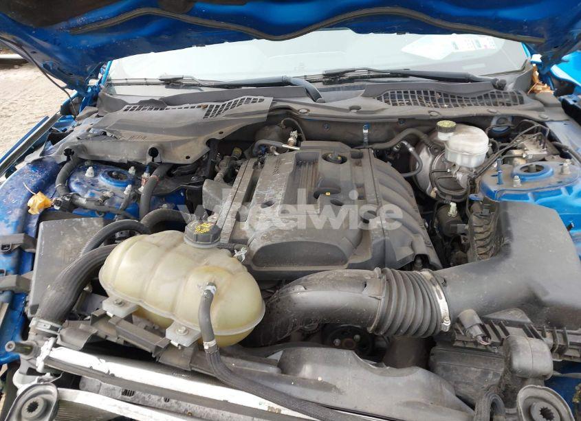 Photo 10 of 2019 Ford Mustang ECOBOOST PREMIUM (VIN 1FA6P8TH4K5132924)