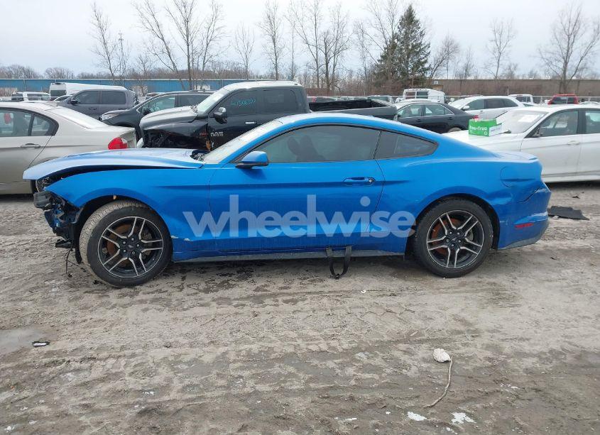 Photo 14 of 2019 Ford Mustang ECOBOOST PREMIUM (VIN 1FA6P8TH4K5132924)