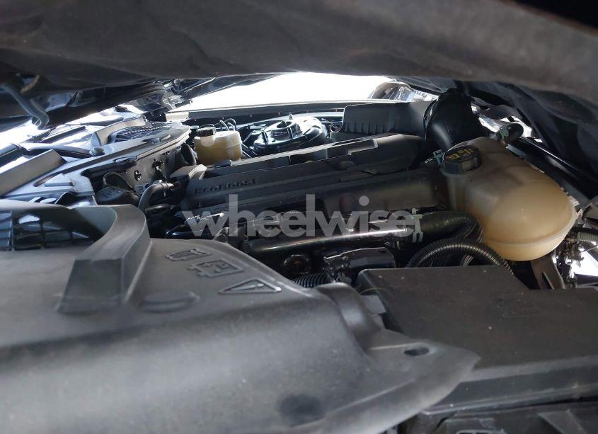 Photo 10 of 2019 Ford Mustang ECOBOOST (VIN 1FA6P8TH4K5169214)