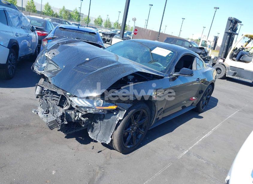 Photo 2 of 2019 Ford Mustang ECOBOOST (VIN 1FA6P8TH4K5169214)