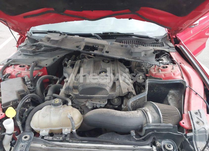 Photo 10 of 2019 Ford Mustang ECOBOOST PREMIUM (VIN 1FA6P8TH4K5172694)