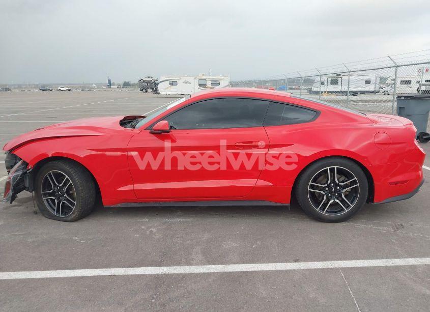 Photo 15 of 2019 Ford Mustang ECOBOOST PREMIUM (VIN 1FA6P8TH4K5172694)