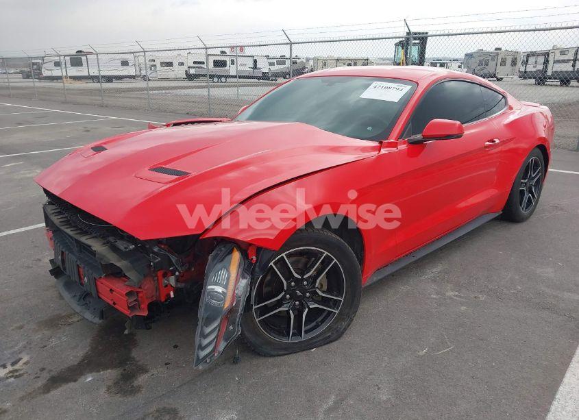 Photo 2 of 2019 Ford Mustang ECOBOOST PREMIUM (VIN 1FA6P8TH4K5172694)