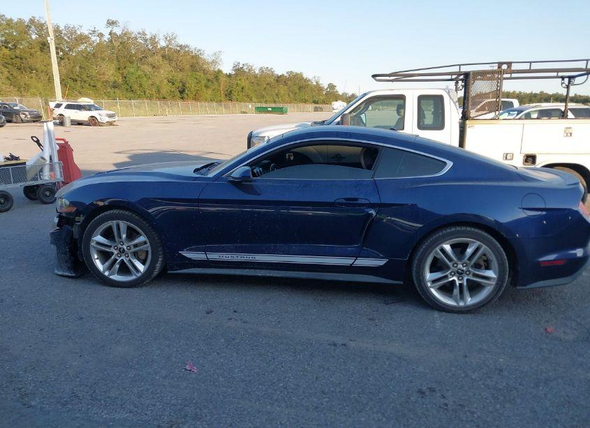 Photo 14 of 2019 Ford Mustang ECOBOOST PREMIUM (VIN 1FA6P8TH4K5180584)