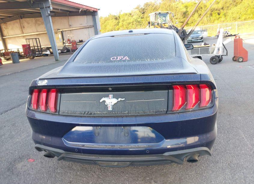Photo 16 of 2019 Ford Mustang ECOBOOST PREMIUM (VIN 1FA6P8TH4K5180584)