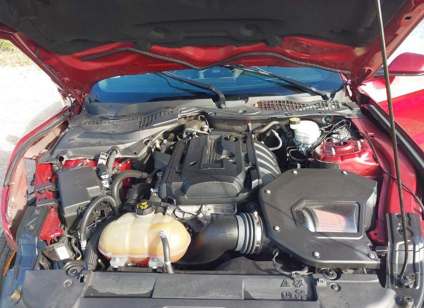 Photo 10 of 2019 Ford Mustang ECOBOOST (VIN 1FA6P8TH4K5200283)