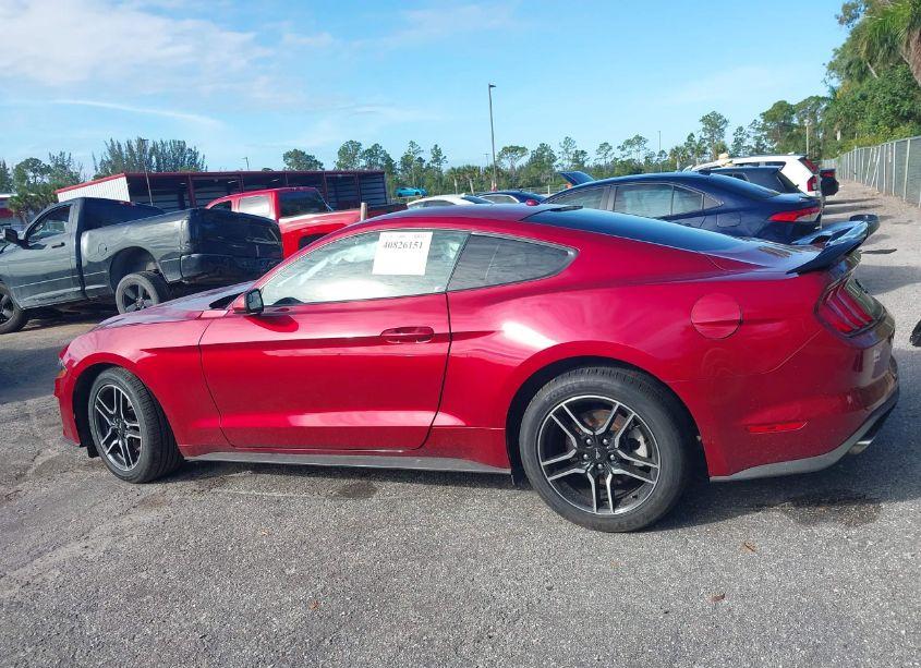 Photo 14 of 2019 Ford Mustang ECOBOOST (VIN 1FA6P8TH4K5200283)