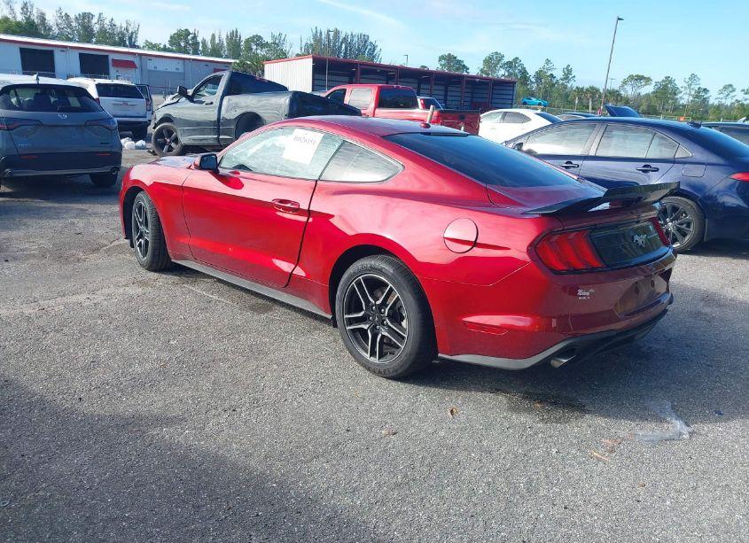 Photo 3 of 2019 Ford Mustang ECOBOOST (VIN 1FA6P8TH4K5200283)